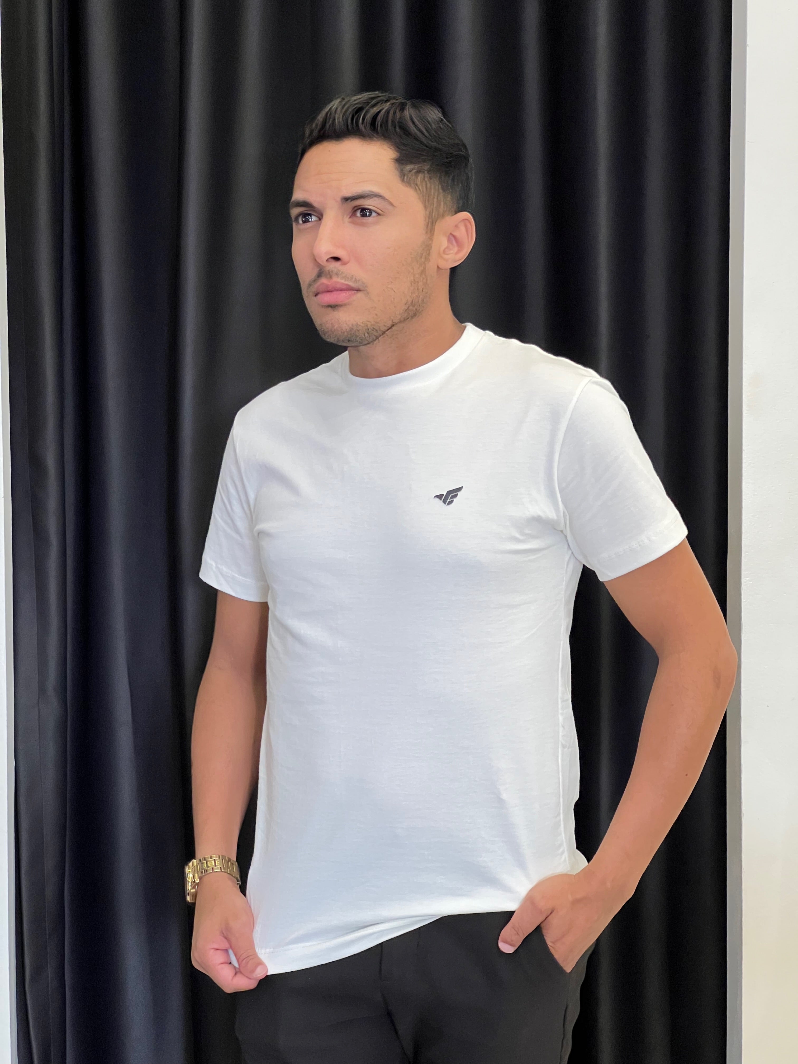 Camisetas Evidence Eagle