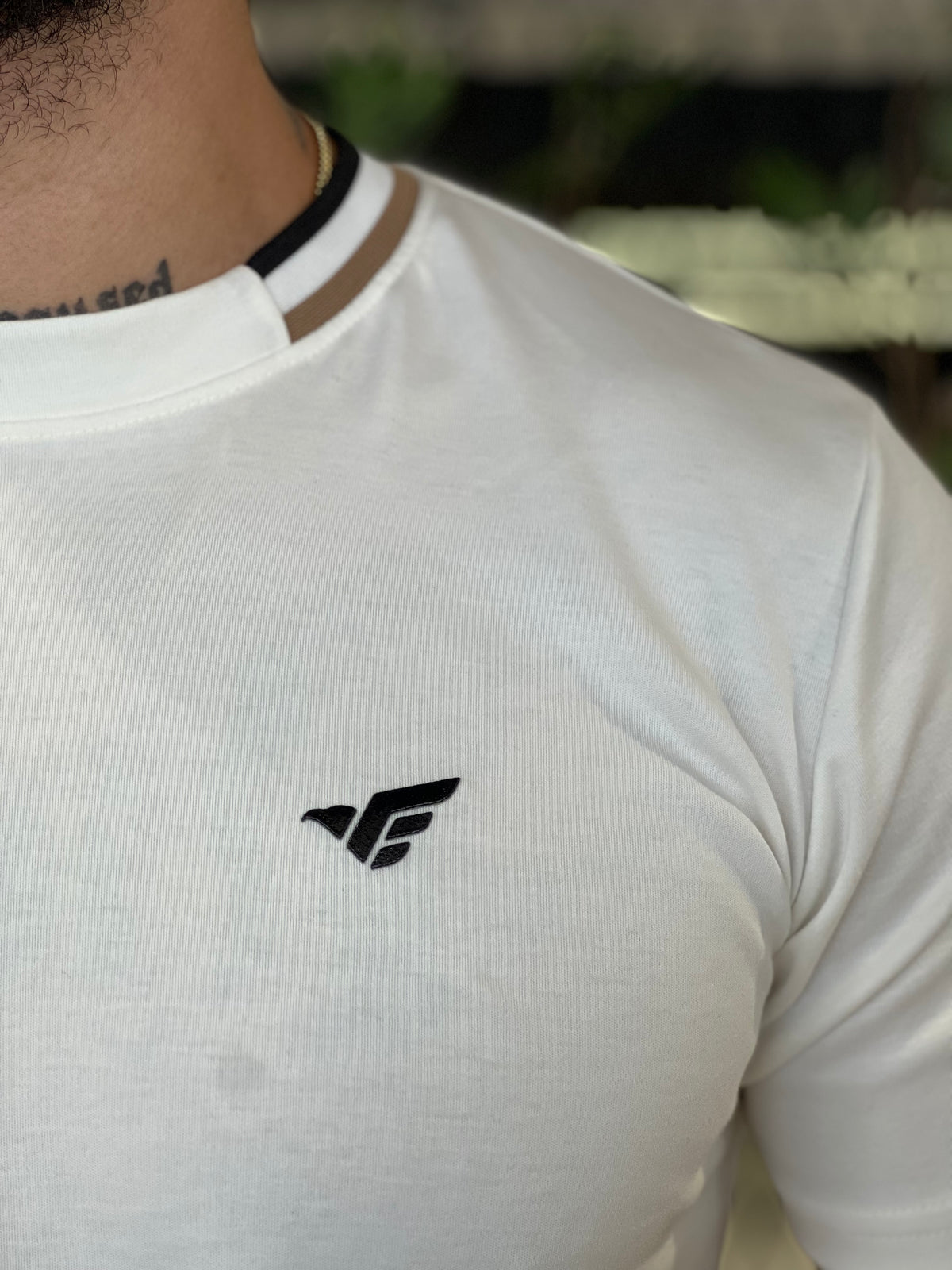 Camiseta Masculina Peruna Gola O Eagle